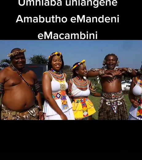 Amabutho kaZulu on TikTok