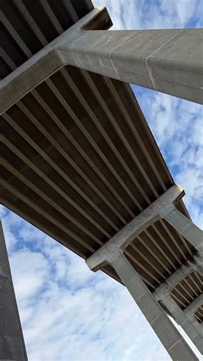 🙌You know what day it is! That weekday bridge we call Wednesday! Today’s hump is the one and only Dames Point Bridge. Our tallest hump we can drive over in Jacksonville. Have a great rest of your week! Half way to the weekend! We got this! 🦾 | Hidden Jacksonville