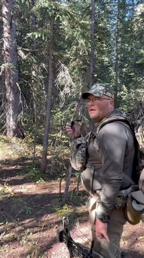 Rate our Cow calling! #elk #elkhunting #deeraddiction