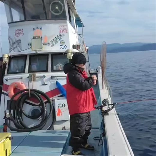 遊漁船 正徳丸 on Instagram: "【ウェブ予約、はじまりました📱】 いつも正徳丸をご利用いただき ありがとうございます！ この度、⛴️正徳丸のご予約が スマホから “24時間いつでも” できるようになりました✨ ✅ 空き状況がその場で確認できる ✅ 電話ができない時間帯でも予約OK ✅ 釣行スケジュールも見やすい ご予約はこちら👇 https://tsurimaru-calendar-schedule-captain.web.app/23242 （プロフィールURLからも飛べます🔗） ご不明点はお気軽にDMまたはお電話ください😊 今後とも正徳丸をよろしくお願いします🎣"