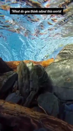 “Can This Phone Survive Water? 💧 | Water Resistance Test” #nature #shortvideo #travel