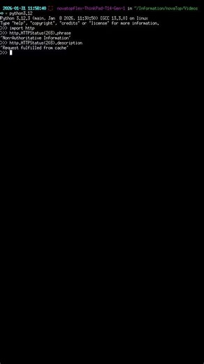 #HTTP Status Code 203 Explained