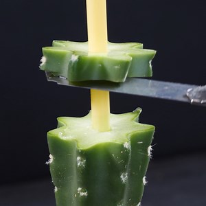 12M views · 30K reactions | Practical garden hacks! | Crafty Panda | Facebook