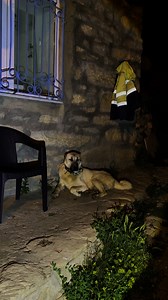 Boğuşmuş boynu şişmiş canı çok acıyor | Uğur Çağlar