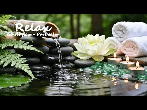 Beautiful Piano Music 🌿 Peaceful Relaxing Music with Bamboo Water Sounds for Healing and Resting