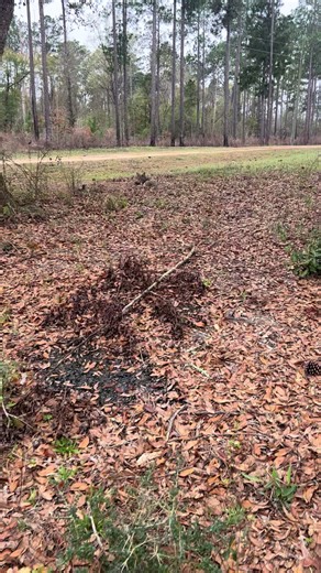 MB 550 never fails!!