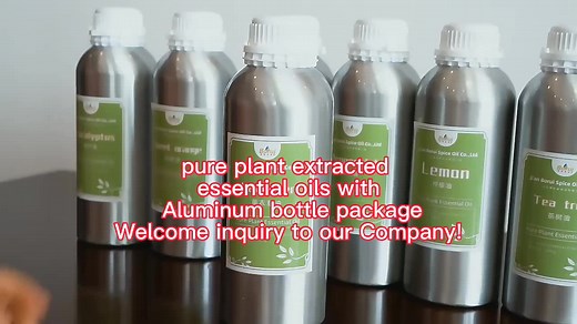 Wholesale Bulk Price Organic 100% Pure Natural Curcuma Longa Essential Oil for Skin