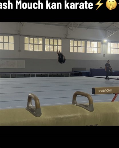 Dynamic Gymnastic Karate Moves for Everyone