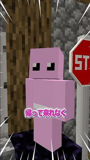 Never open this [Minecraft]