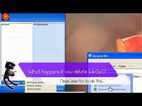 What happens if you delete WinSxS folder?