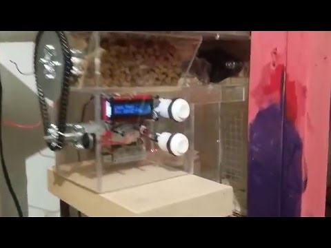 Raspberry Pi Automatic Cat Feeder