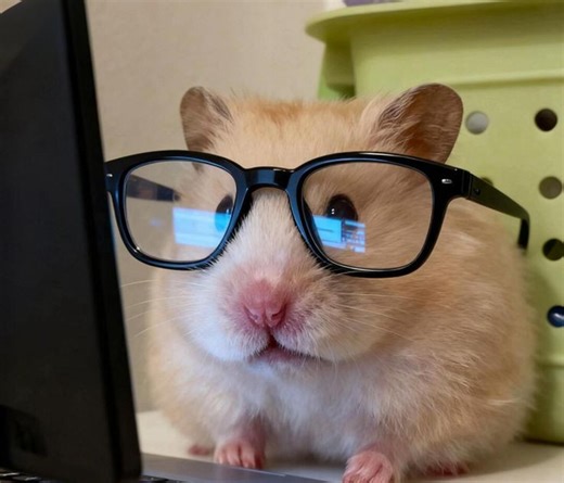 HOW TO MAKE AND EDIT YOUR BLOG?