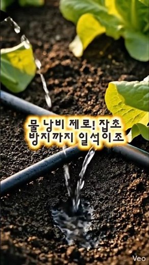 5분 투자로 평일 물 주기 해방! 점적호스와 자동 타이머의마법#점적호스#자동타이머 #주말농장 #자동물주기#shorts