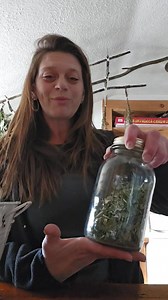 1.2K views · 77 reactions | Mullein... Google it, learn what it is and read about how to use it. Pretty neat herb that is widely used and has been for centuries. The pods I will make into candles, the seeds, I'm sending to family and giving away to guests at my classes. #staywild #westernnewyork #homestead | Lucky Day Homestead | Facebook