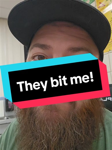 Adorable Classroom Dinosaur Toys for Every Teacher