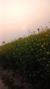 piknik #song #bollywood #funny