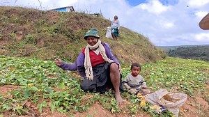 Village life in Madagascar, Africa 😍 | Wandering With Paint