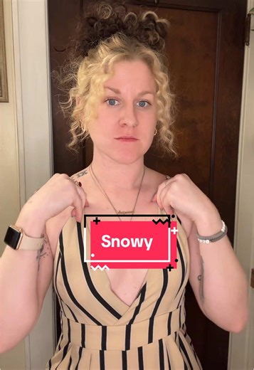 Honest Review of Snowy Sticky Inserts for Small Chests