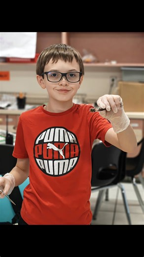 Oak Park Elementary on Reels