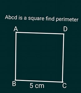 Abcd is a square find perimeter... | Filo