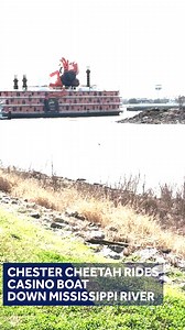 22K views · 195 reactions | Dangerously cheesy? No, you aren't seeing things. That's really a Cheetos casino boat floating down the Mississippi River https://tinyurl.com/4mzvbk8c | WDSU News | Facebook