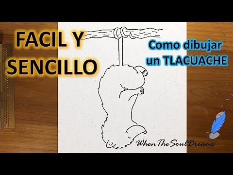 Como dibujar un Tlacuache a lápiz Fácil y Sencillo paso a paso Explicado