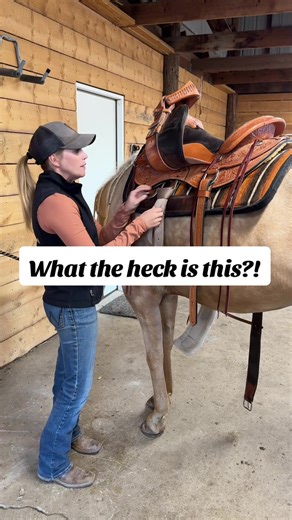 Understanding Double Rigging on Trail Saddles