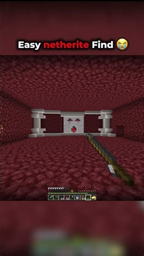 Minecraft Nether Moment 😭