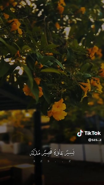 دعاء كميل بصوت باسم الكربلائي الجميل