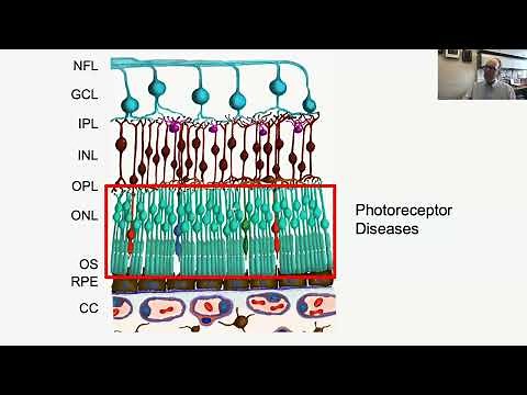 Lecture: Introduction to Inherited Retinal Disease