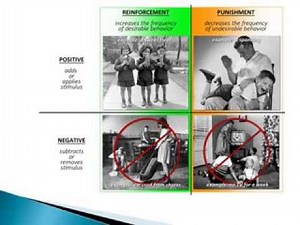 Psychology of Learning: Operant Conditioning