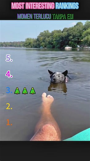 TOP5 MOMEN TERLUCU #funny #funnyvideos #comedy #viral #memes #lol #haha #laugh #funnymoments#top