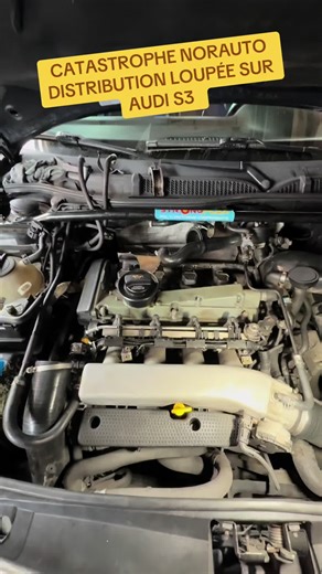 Catastrophique chez Norauto, une prestation loupée à savoir le remplacement de la courroie de Distribution sur cette Audi A3 S3. ils n’ont même pas pris le temps de faire une révision du véhicule avec pas mal d’éléments à revoir mécaniquement. quelques Garages lui ont fait faux bond, entre deux, mais chez kevin, Autos nous avons qu’une parole Prestation faite, le client est satisfait de récupérer un véhicule qui tourne parfaitement bien .. #au#audi3#s3i#distributiono#norautoa#panne
