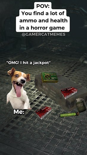 69K views · 1.3K reactions | POV: You find a lot of ammo and health in a horror game #catmemes #horrorgame #funny #relatablememes #gaming #fypシ | Gamercatmemes | Facebook