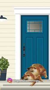 12K views · 568 reactions | Dogesh MC  #dogesh #funny #cheems #comedy #doge #jokes #memes #cartoon | Dogesh Cheems Doge | Facebook