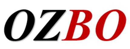 Pourquoi les propriétés de l'α-Al₂O₃ et du γ-Al₂O₃ diffèrent-elles malgré le fait qu'il s'agisse d'alumine ? - Fournisseurs de céramiques industrielles telles que le nitrure d'aluminium, le nitrure de silicium, le carbure de silicium, l'alumine, le nitrure de silicium, etc.