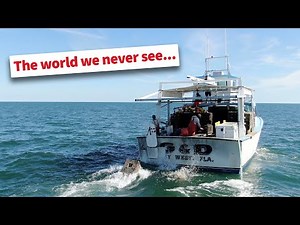 Inside The Life Of A Florida Lobster Fisherman