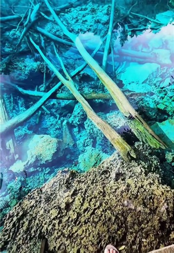 Explore the Real World Beyond Books and Maps