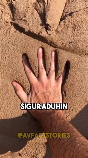 2.5M views · 87K reactions | Random Facts na pwede Magligtas sayo! 勞#reels #facts | A.V FactStories | Facebook