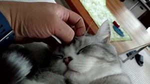 Not waking up! | Booboo