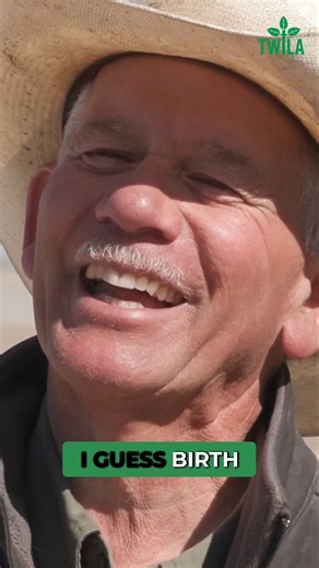 "I’ve always wanted to farm. There’s never been anything else for me." For Dave Heinen, farming isn’t just a job—it’s a lifelong passion. 🎥 Watch the full story: https://youtu.be/xzezaA8O1uI #TWILA #LouisianaAg #FarmLife #PassionForFarming | This Week In Louisiana Agriculture