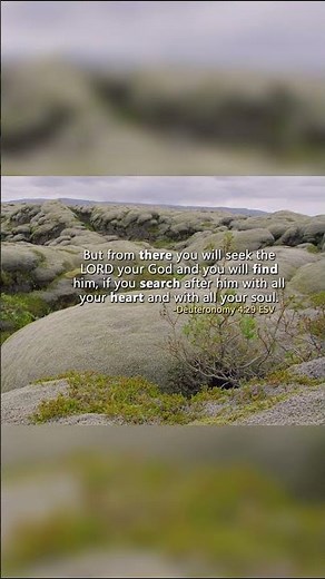 "You Will Find God If You Search For Him"