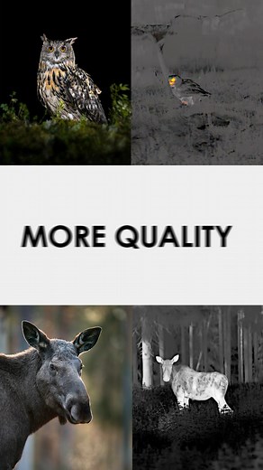 A wildlife photographer shares the benefits of using thermal vision while taking breathtaking images of animals. Read more: https://bit.ly/thermal-devices-used-by-photographer | Pulsar