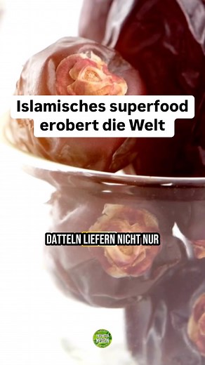 Propheten Medizin on Instagram: "Datteln sind weltweit begehrter und verbreiteter denn je. Grund dafür ist ihr breites Spektrum an Nährwerten und gleichzeitig die leckere süße. Vergleichbar als Süße und gesunde Alternative zum Zucker, so ähnlich wie Honig. Einige Leute die gewöhnt sind Datteln zu essen , können diese sehr gut verdauen. Bei anderen die es weniger gewohnt sind, denen empfiehlt Ibn Qayyim sie mit oxymel zu essen. Dies gleicht die verstopfende Eigenschaften der Leber aus, man baut d