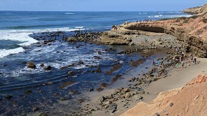 Discover the Best Tide Pools near San Diego