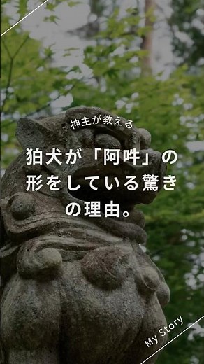 神社の狛犬に注目！？よく見ると何かが違う？？#神社参拝 #神社 #狛犬#神主 #神社巡り #神社好き