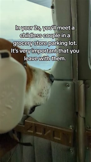 Rumi The Beagle on Instagram: "Best decision ever. #rescuedog #airbeagle #dogs #beagles"