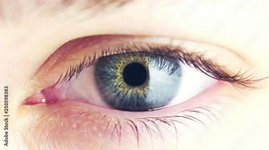 Macro View of Pupil Constriction Process in Human Eye. Constriction of the Iris in Bright Light. The Work of the Pupil in Blinking Eye with Contact with a Larger Amount of Light. Looped Video.