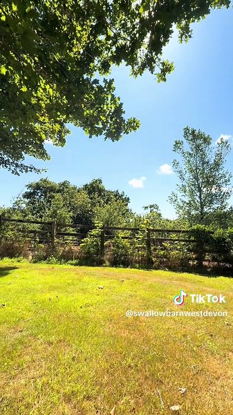 It’s so peaceful here 😌 🐦‍⬛🐦‍⬛ #birdsong #peacefulgetaway #tranquility #comeandstay #bookyourstay #dogfriendly