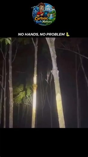 Ayu@cartoons on Instagram: "Tree snake #snake #nature #python #jungle #strange"